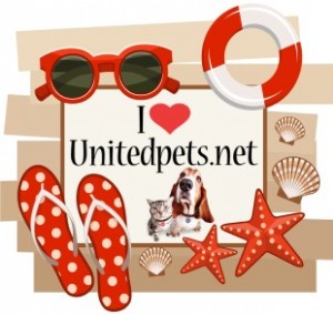 a unitedpets summer greeting